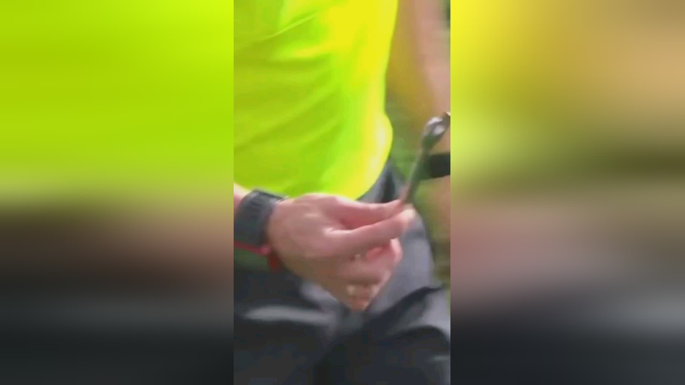 们依靠莱万