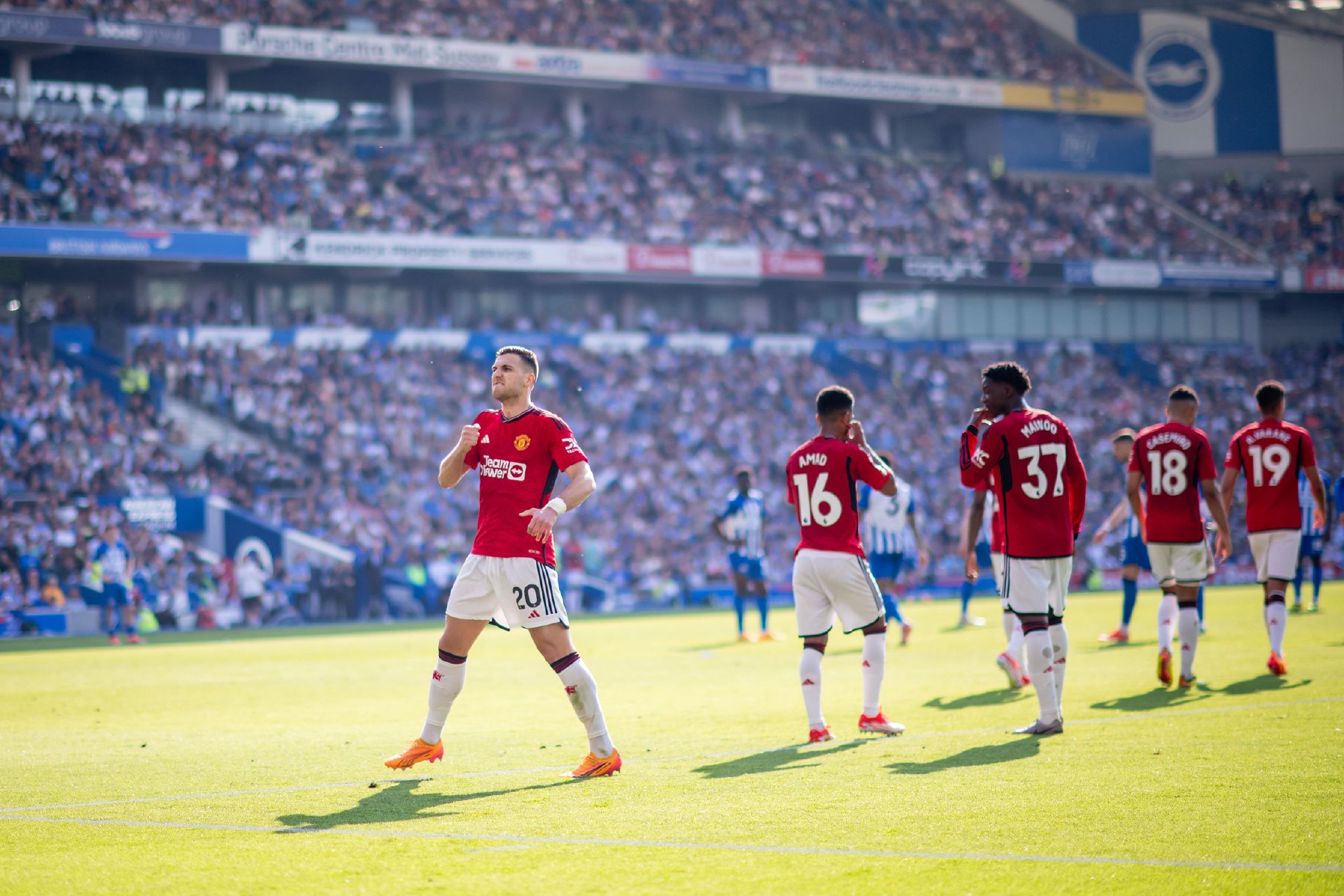 球迷们在赛 球迷们在赛